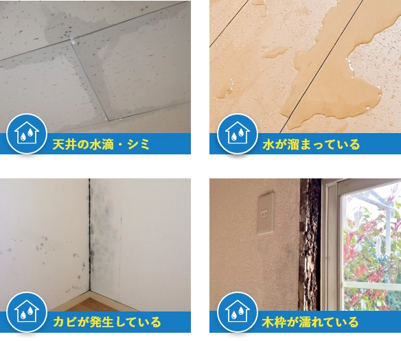 雨漏りの症状